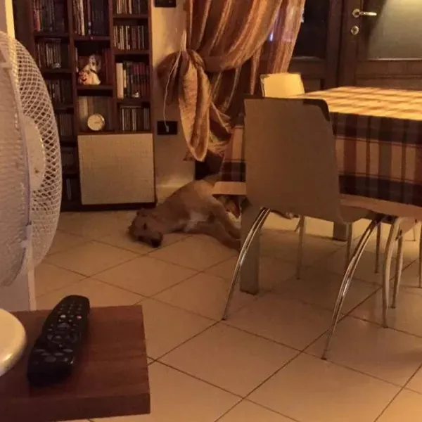 FB IMG 1433711880442