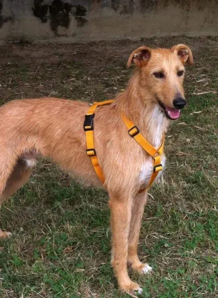 FB IMG 1434141081913