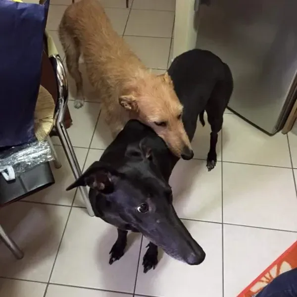 FB IMG 1434690363724