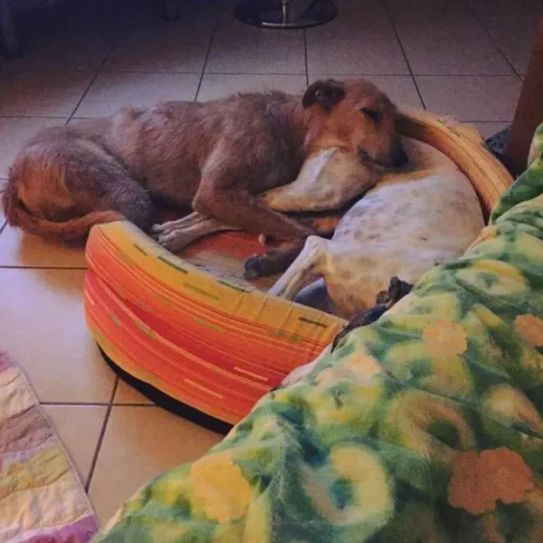 FB IMG 1434690367514