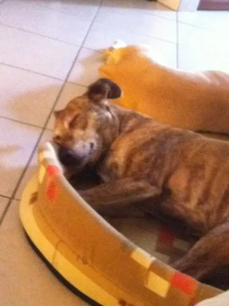 FB IMG 1436983265619