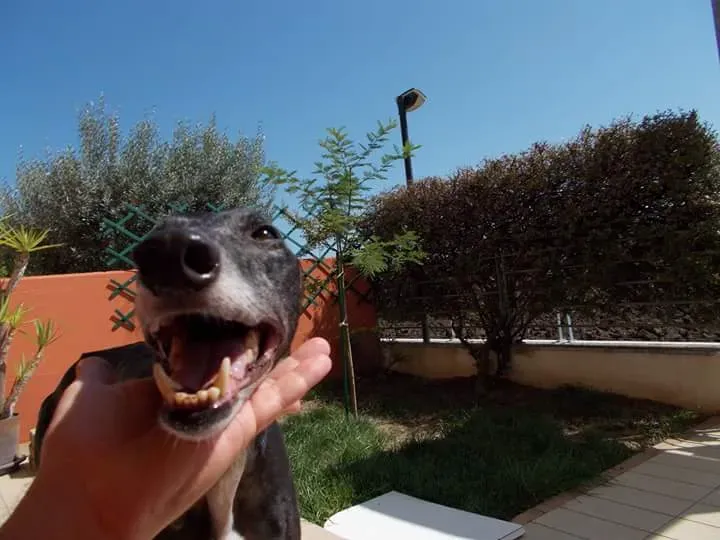 FB IMG 1441546722507