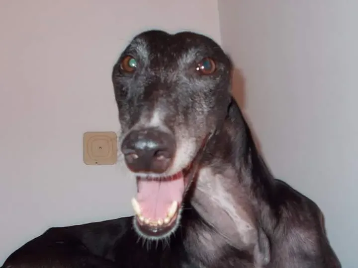 FB IMG 1441546742156