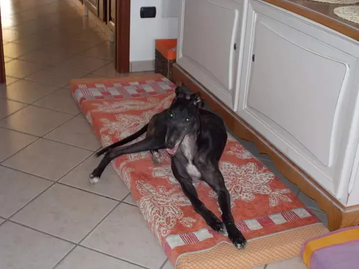 FB IMG 1441546838095