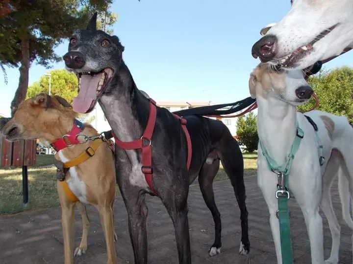 FB IMG 1441546849776