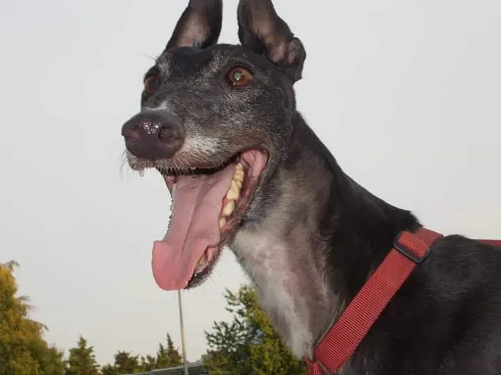 FB IMG 1441546935594