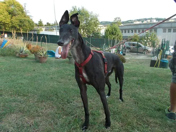 FB IMG 1441546985746