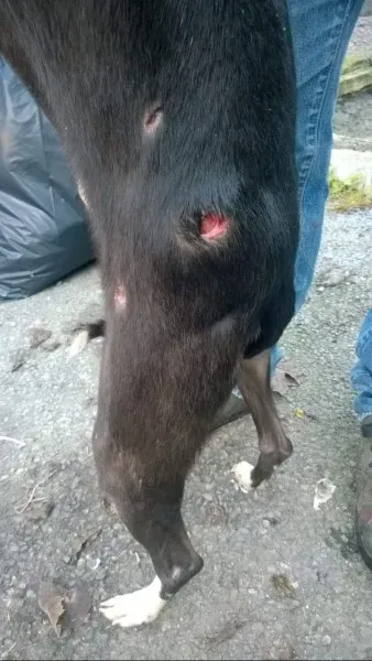 FB IMG 1445795520504