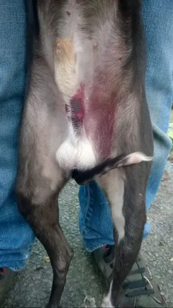 FB IMG 1445795527486