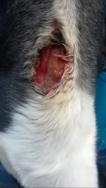 FB IMG 1445795531994