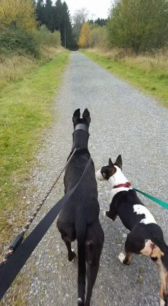 FB IMG 1446327131928