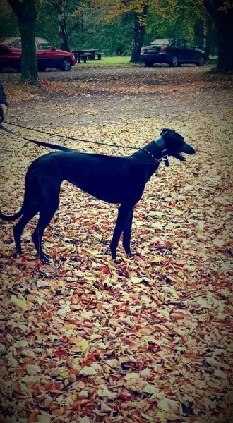 FB IMG 1446327138541