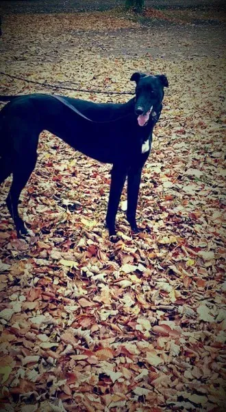 FB IMG 1446327142026