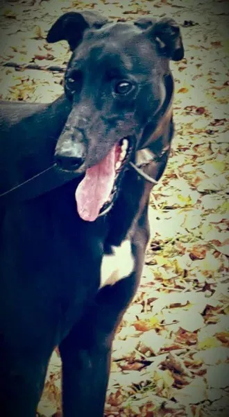 FB IMG 1446327145552