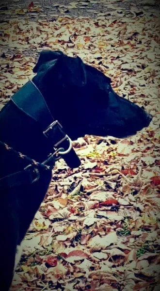 FB IMG 1446327153897