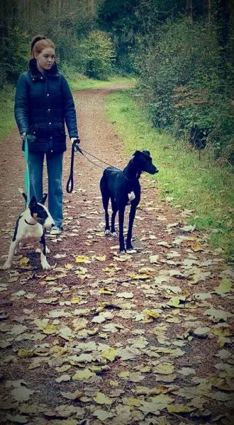 FB IMG 1446327166029