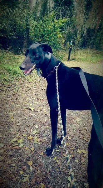 FB IMG 1446327171760