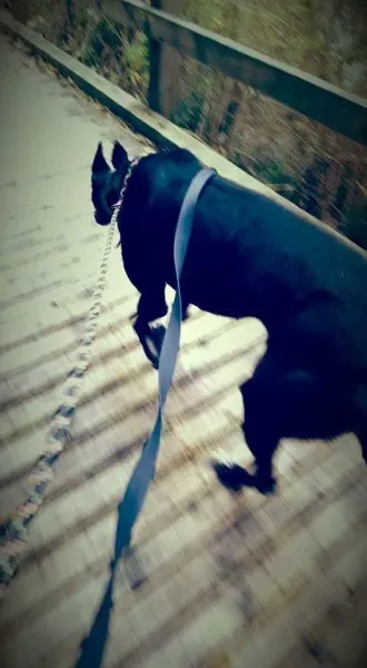 FB IMG 1446327178467