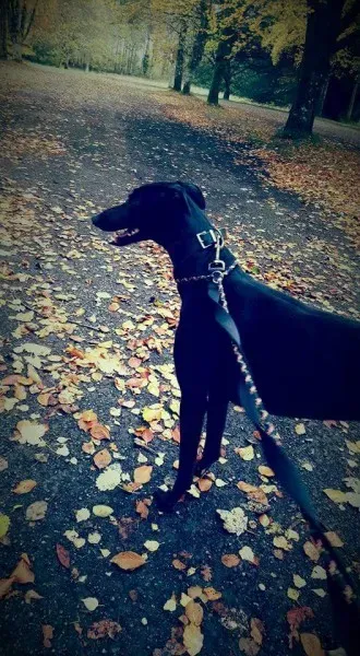 FB IMG 1446327183508