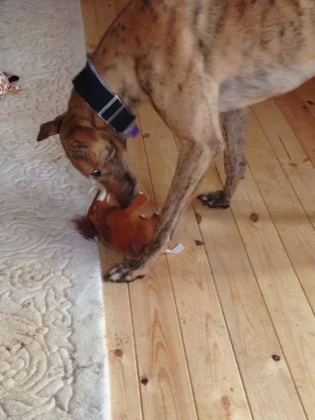 FB IMG 1451465181854