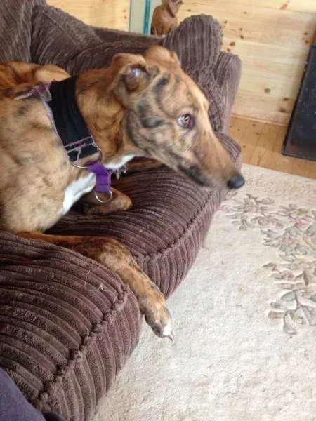 FB IMG 1451465188166