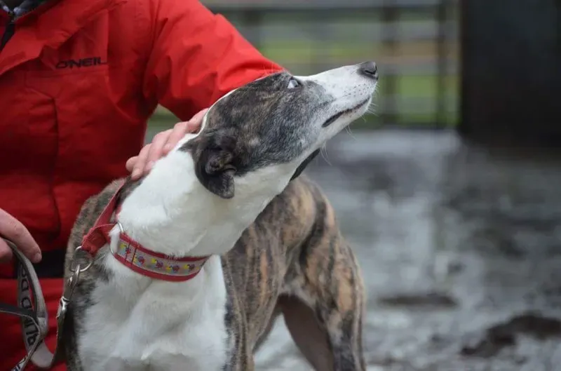 FB IMG 1453065191045