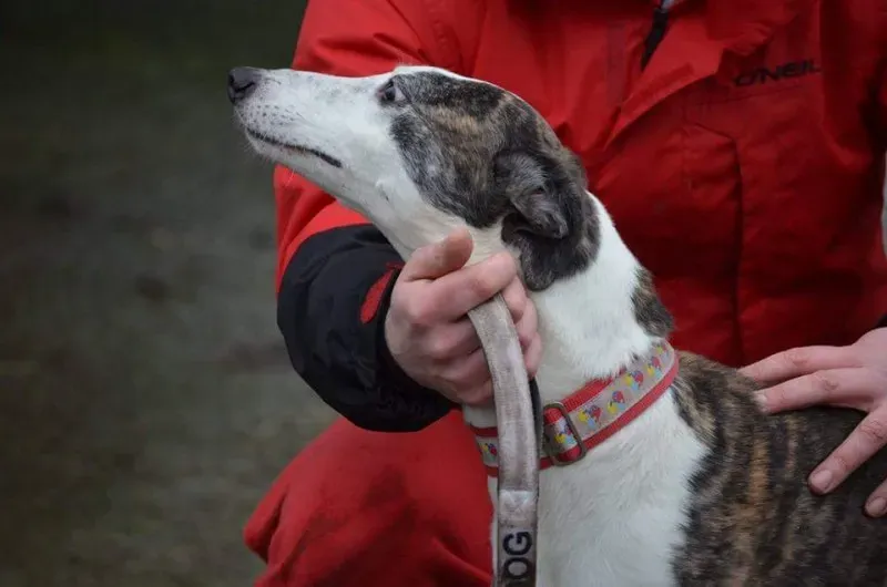 FB IMG 1453065196500