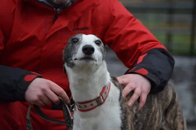 FB IMG 1453065200251