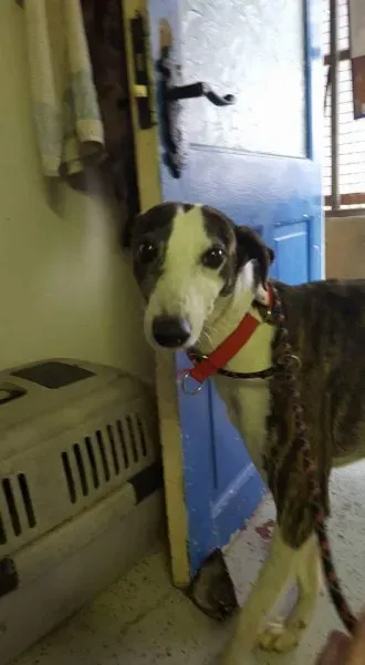 FB IMG 1453065362015