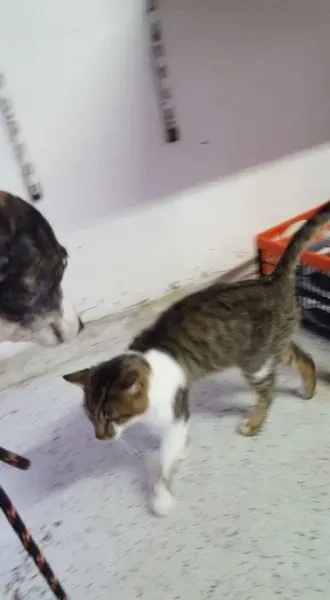 FB IMG 1453065371483