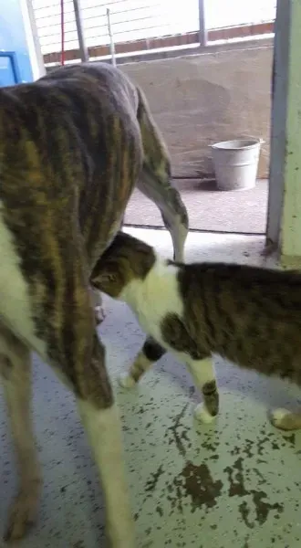 FB IMG 1453065379190