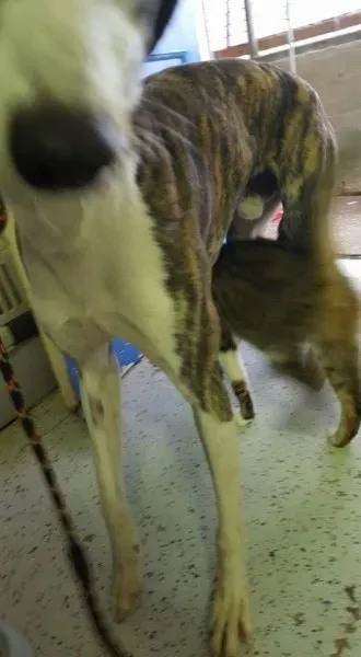 FB IMG 1453065386548