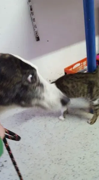 FB IMG 1453065394049