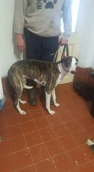 FB IMG 1453154423505