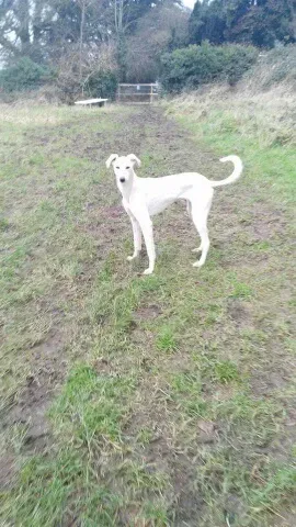 FB IMG 1453653154343 resized