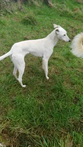 FB IMG 1453653160190 resized