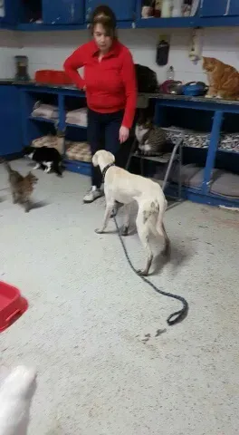 FB IMG 1453653177974 resized