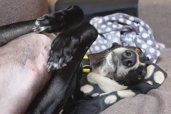 FB IMG 1479673746593