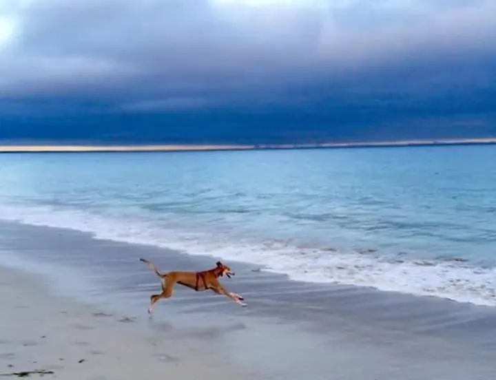 FB IMG 1479675203448