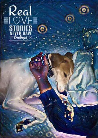 FB IMG 1479811529732