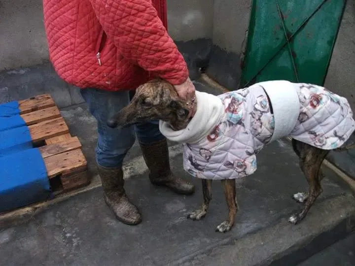 FB IMG 1479844397382