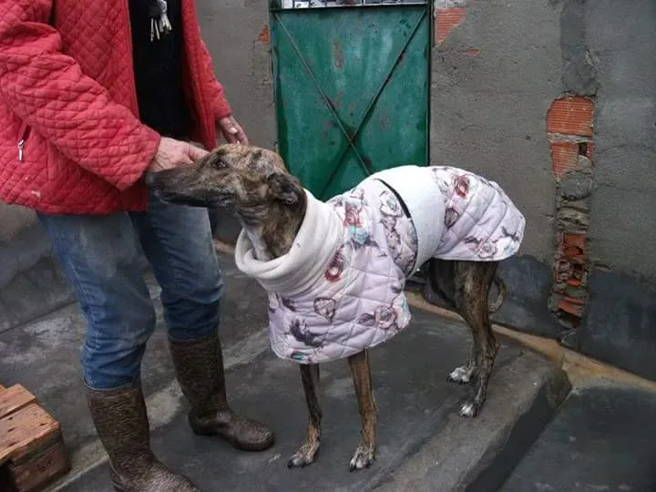 FB IMG 1479844399959