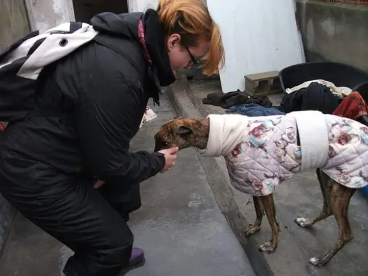 FB IMG 1479844402666