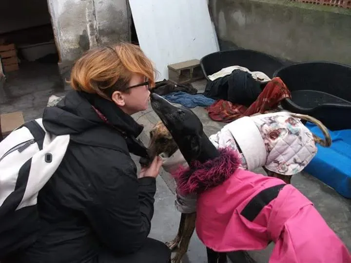 FB IMG 1479844405748