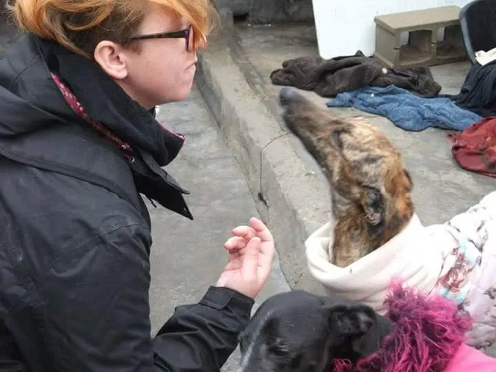 FB IMG 1479844408731