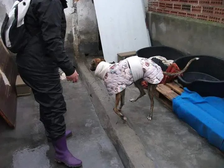 FB IMG 1479844413281