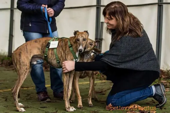 FB IMG 1479845394464