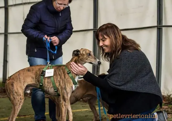 FB IMG 1479845397331