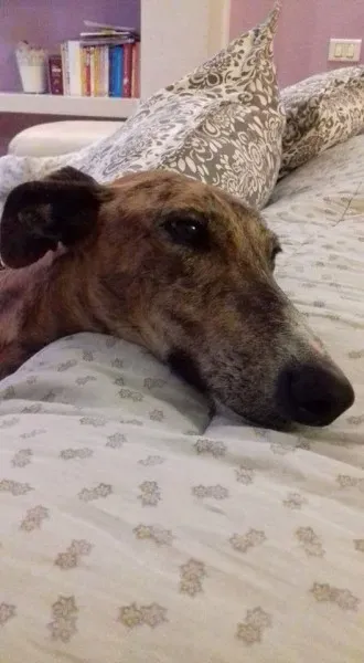 FB IMG 1479845400196