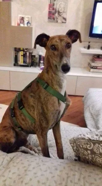 FB IMG 1479845402999